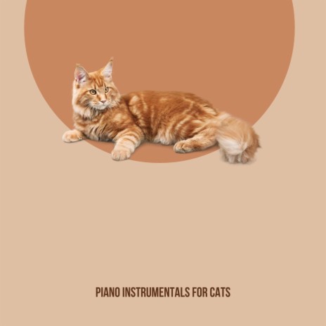 Pretty Piano For Cats ft. Cat Music & Music For Cats | Boomplay Music