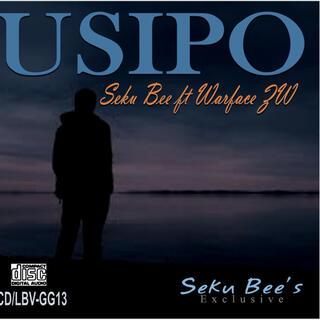 USIPO