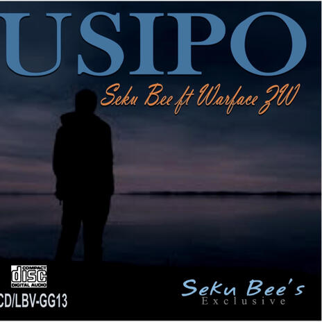 USIPO ft. Warface Zw | Boomplay Music