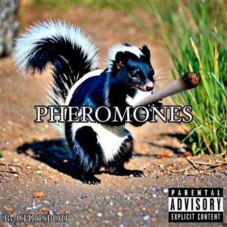 Pheromones | Boomplay Music