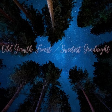 Old Growth Forest/Sweetest Goodnight