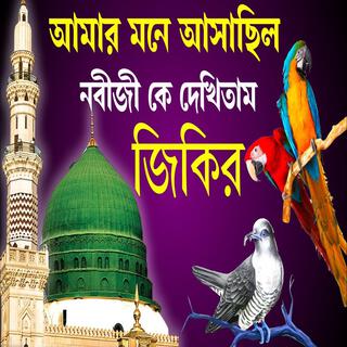 Beautiful Bangla zikr _ আমার মনে আসাছিল নবীজী কে দেখিতাম বাংলা জিকির