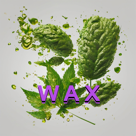 Wax | Boomplay Music