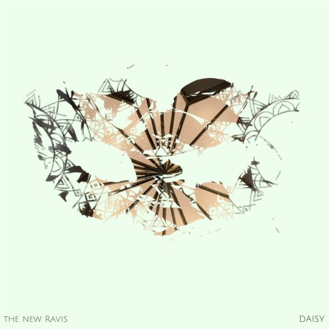 Daisy | Boomplay Music