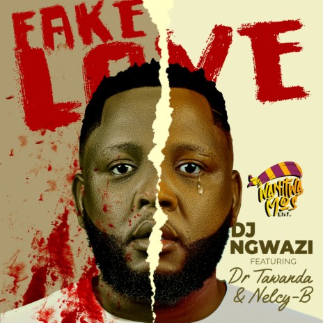 Fake Love ft. Dr Tawanda & Nelcy-B | Boomplay Music