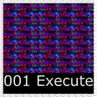 001 Execute