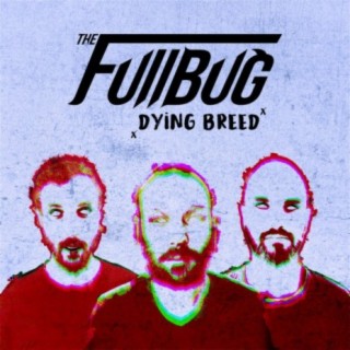 The Fullbug