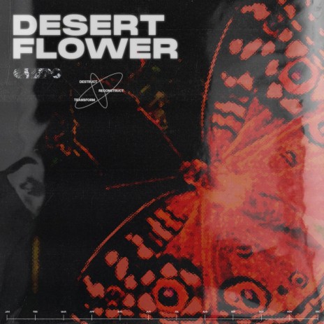 Desert Flower ft. BrooksJourney | Boomplay Music
