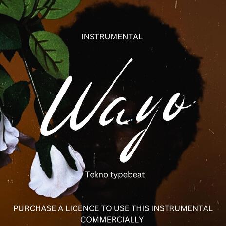 Tekno (Wayo instrumental) | Boomplay Music