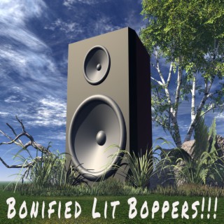 Bonified Lit Boppers!!!