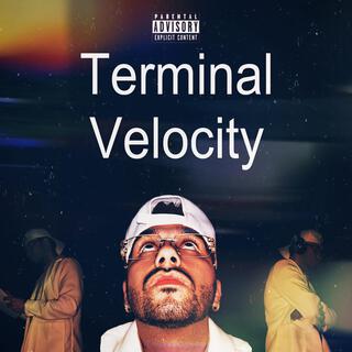 Terminal Velocity