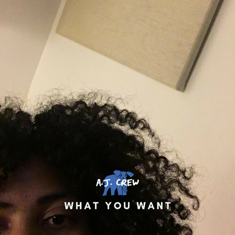 What You Want | Boomplay Music