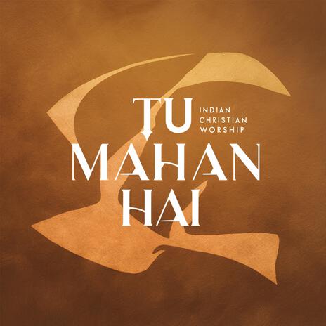 Tu Mahan Hai | Boomplay Music