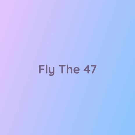 Fly The 47 | Boomplay Music