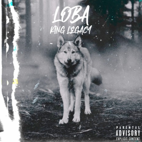 Loba | Boomplay Music