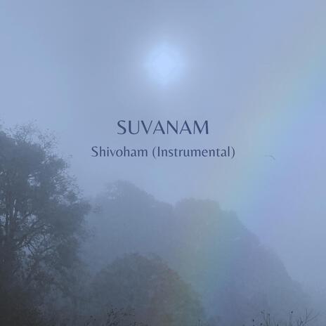 Shivoham (Instrumental) | Boomplay Music