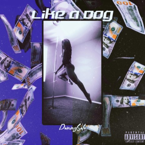 Like a Dog | Boomplay Music