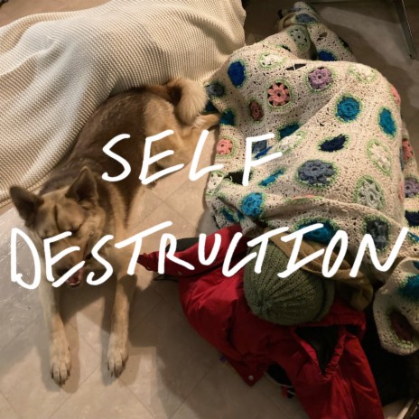 SELF DESTRUCTION | Boomplay Music