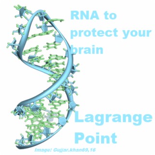 Episode 427 - RNA protecting your brain