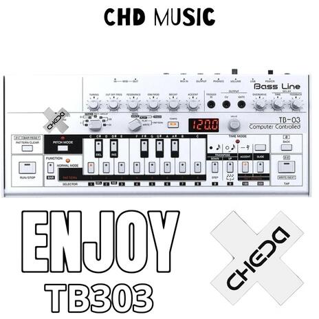 ENJOY TB303 (ORIGINAL MIX) | Boomplay Music