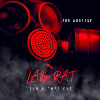 Lab Rat