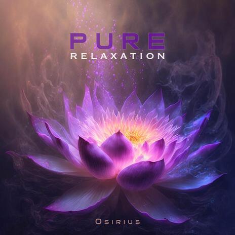 Pure Relaxation (Pt. 3) ft. Sounds of the World | Boomplay Music