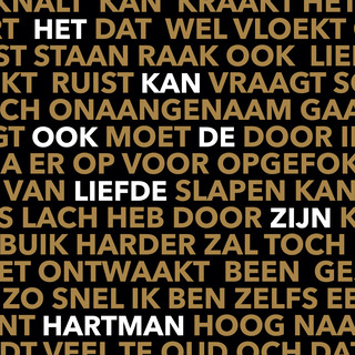 Het kan ook de liefde zijn (Radio Edit)