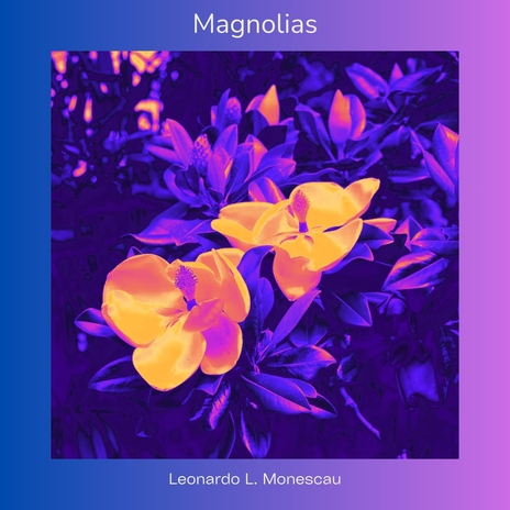 Magnolias | Boomplay Music