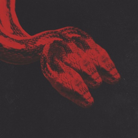 Anaconda | Boomplay Music