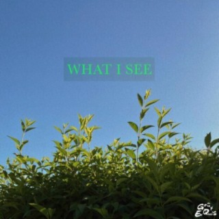WHAT I SEE