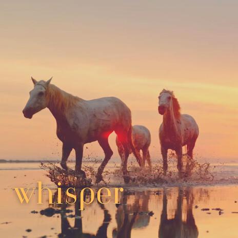 Whisper | Boomplay Music