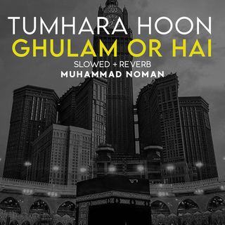 Tumhara Hoon Ghulam Or Hai Lofi