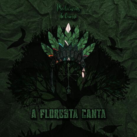 A Floresta Canta | Boomplay Music