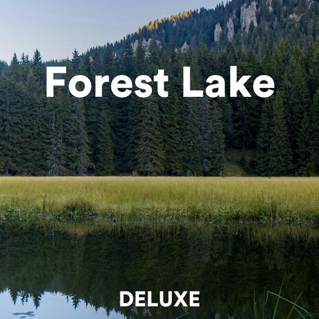 Forest Lake