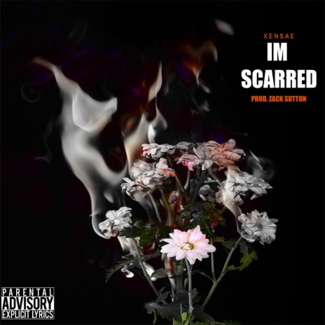 IM SCARRED | Boomplay Music