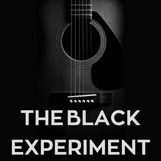 The Black Experiment