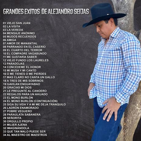 GRANDES ÉXITOS DE ALEJANDRO SEIJAS | Boomplay Music