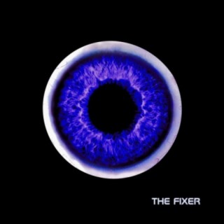 The Fixer