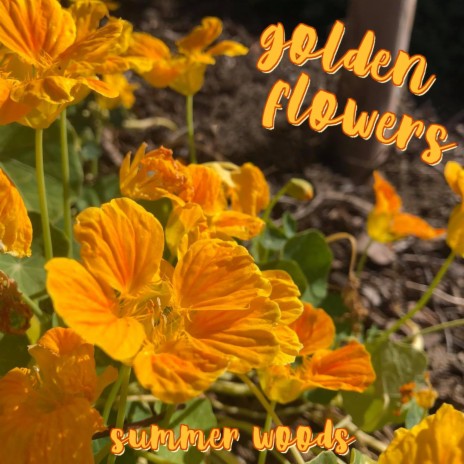 Golden Flowers