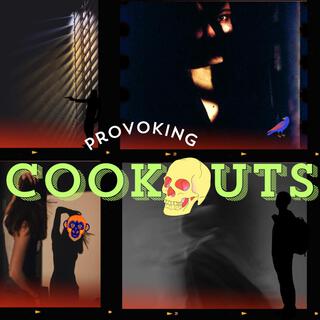 Provoking Cookout