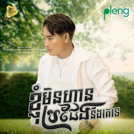 Nhom min hean brocheng ng ke te (SeyHa) | Boomplay Music