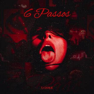 6 Passos