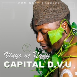Capital DVU