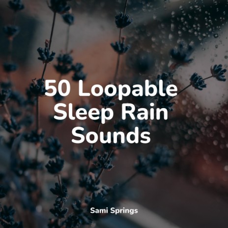 Water, Creek, Birds, Morning | Boomplay Music