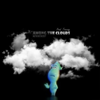 Among the Clouds