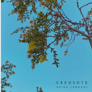 Creosote