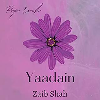 Yaadain