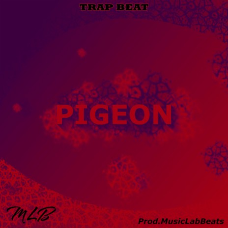 Pigeon (Afro Trap) | Boomplay Music