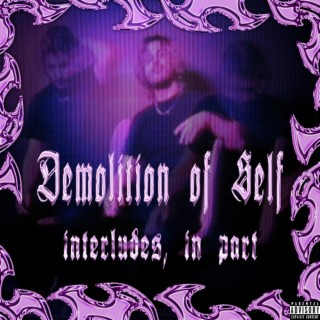 Demolition of Self: Interludes, In Part