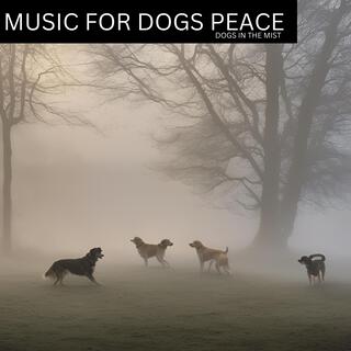 Dogs In The Mist